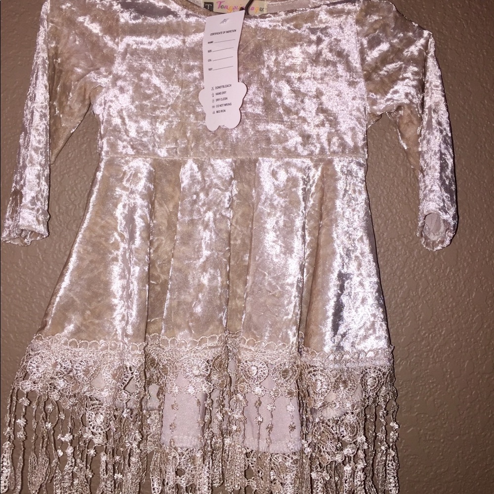 NWT Beautiful Vintage Velvet & Fringe Dress